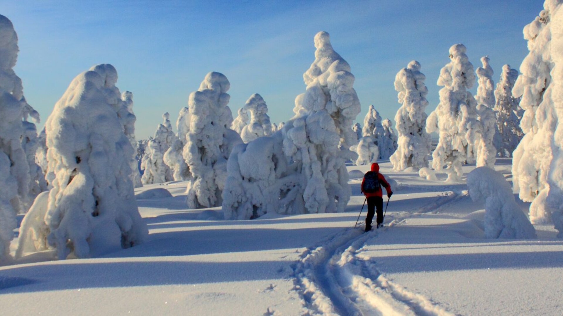 Randonnée à ski dans le parc de Pallas-Yllästunturi en Finlande