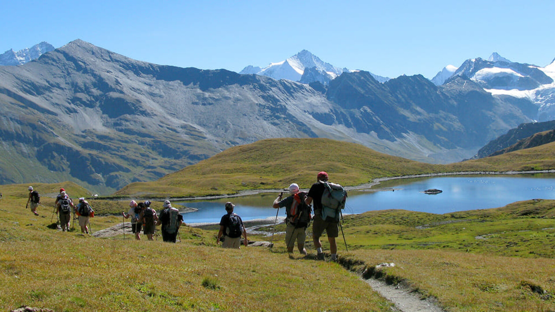 Randonneurs sur le trek de Chamonix à Zermatt 