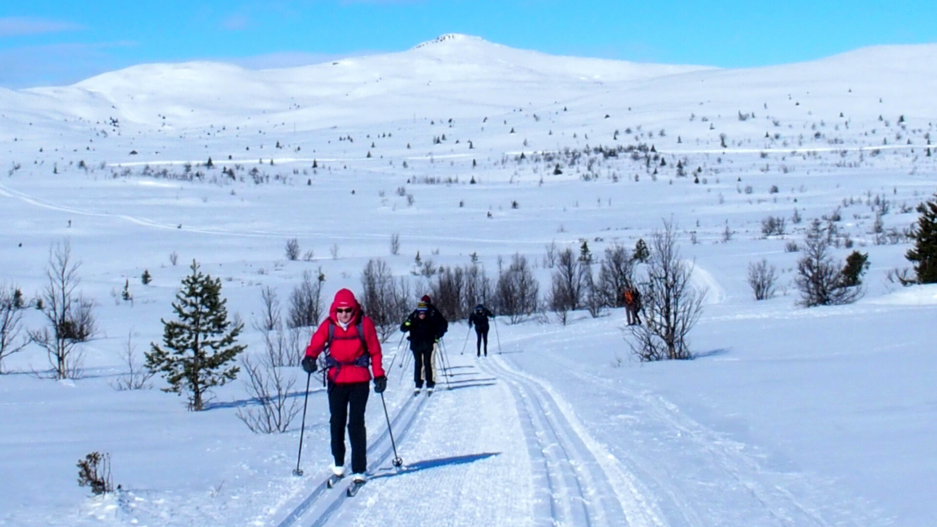 Ski de fond classique à Venabu en Norvège