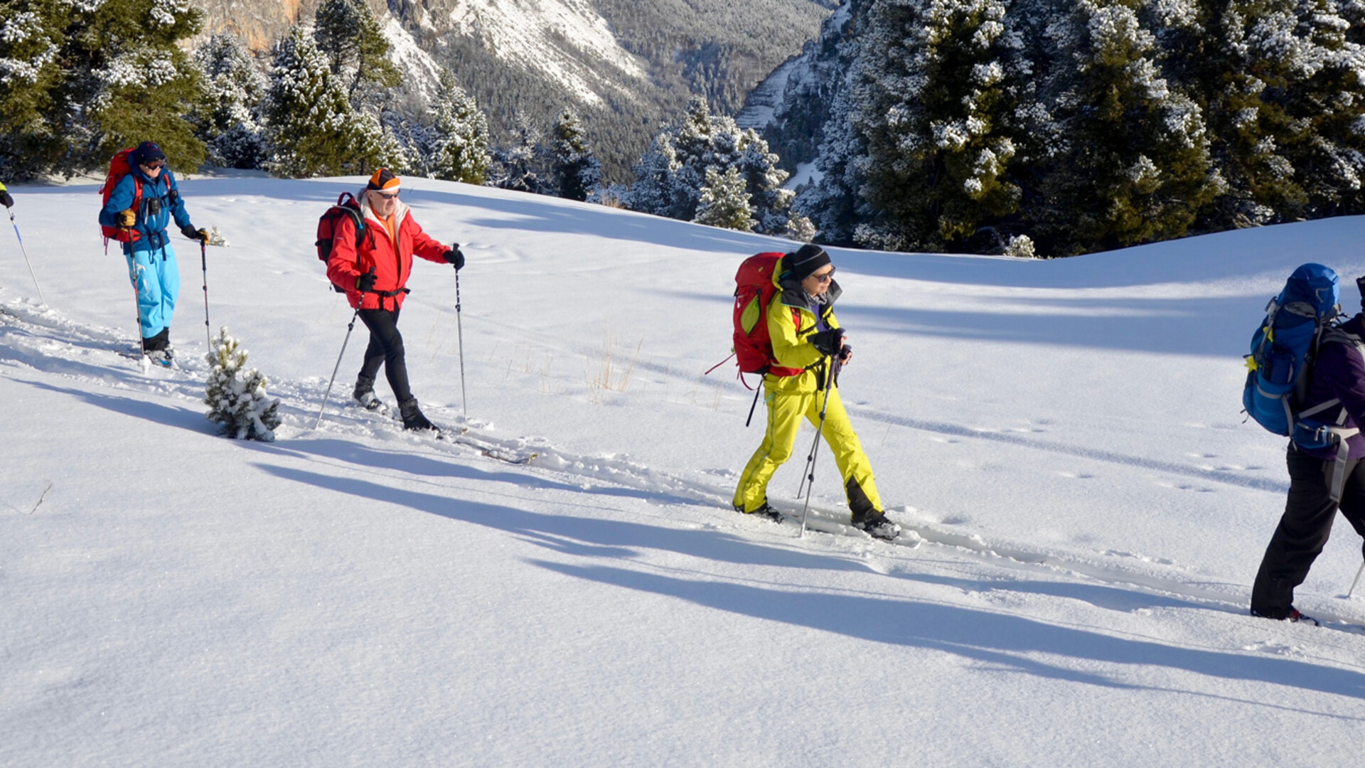 Ski nordique sur les hauts-plateaux du Vercors