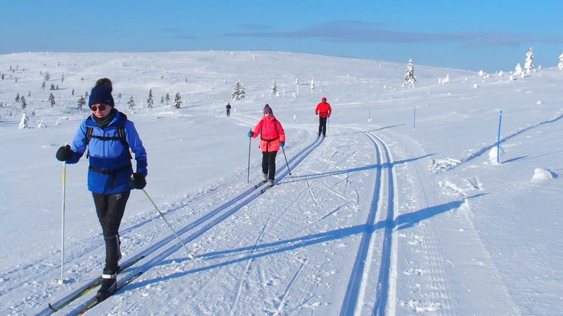 Skieurs de fond en Laponie, près de Kiilopää