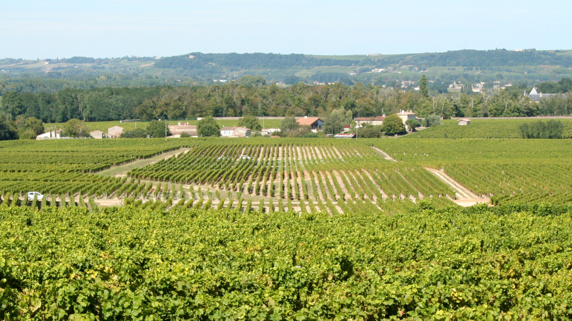 Vignoble du Château d’Yquem, Sauternes