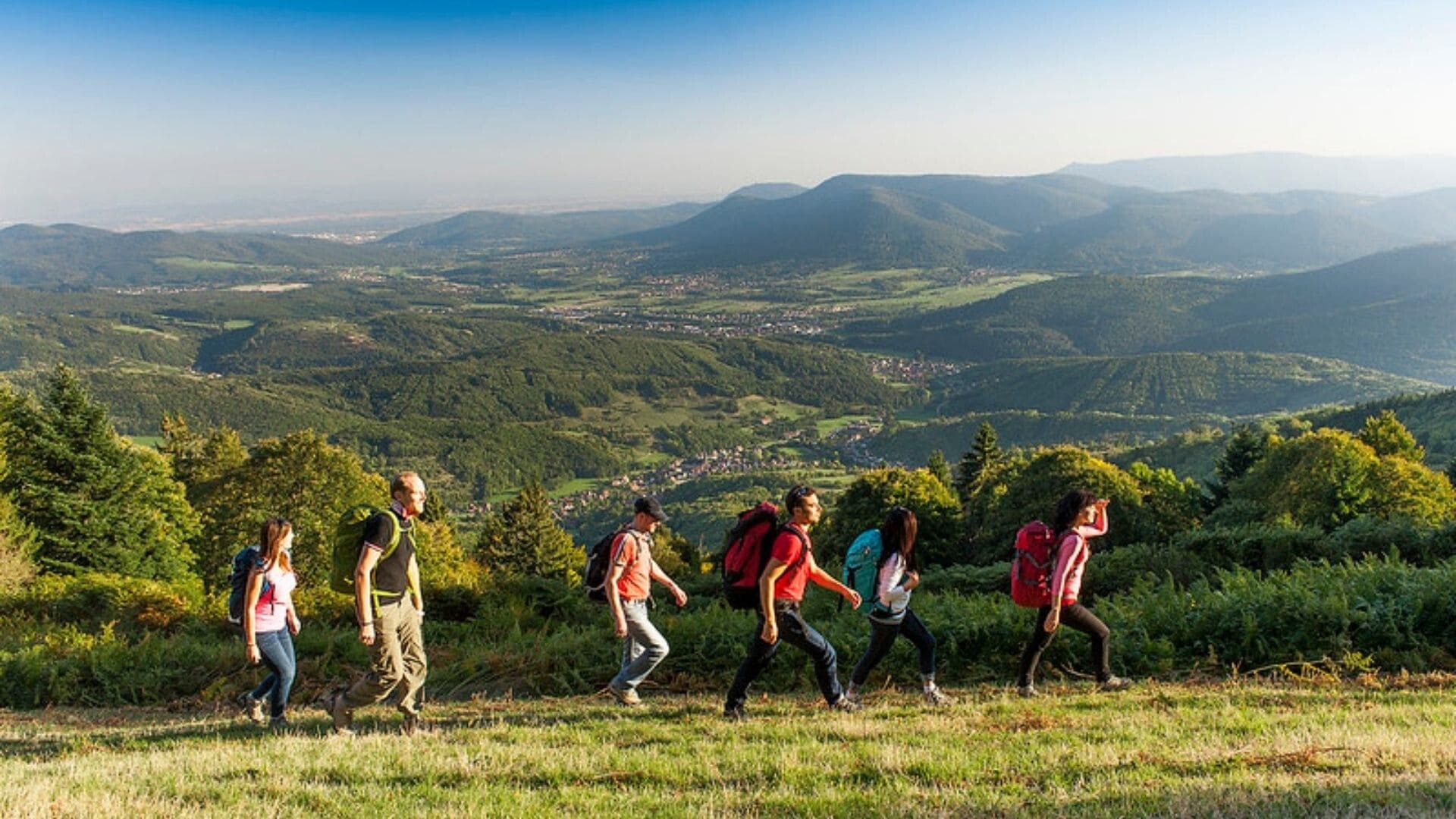 Vosges Mountains