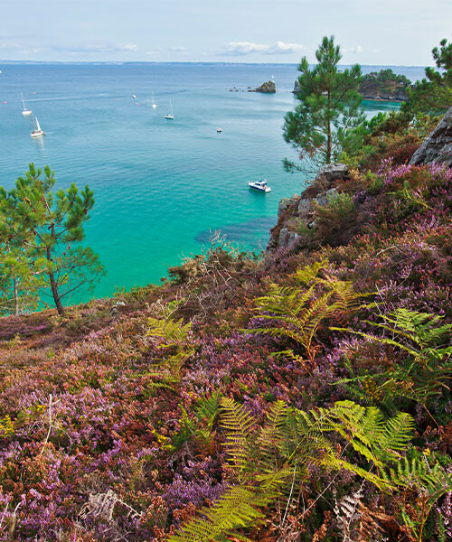 Vers-le-cap-de-la-chevre © Adobe stock