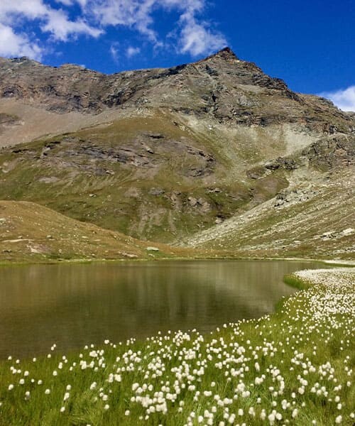 Lac sous le col Pinter © Laurent Comte