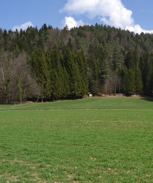 La campagne slovène 