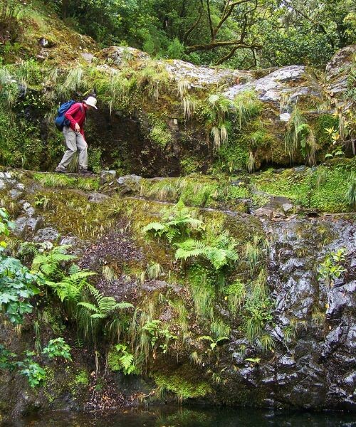 Levada de Caldeirao Verde