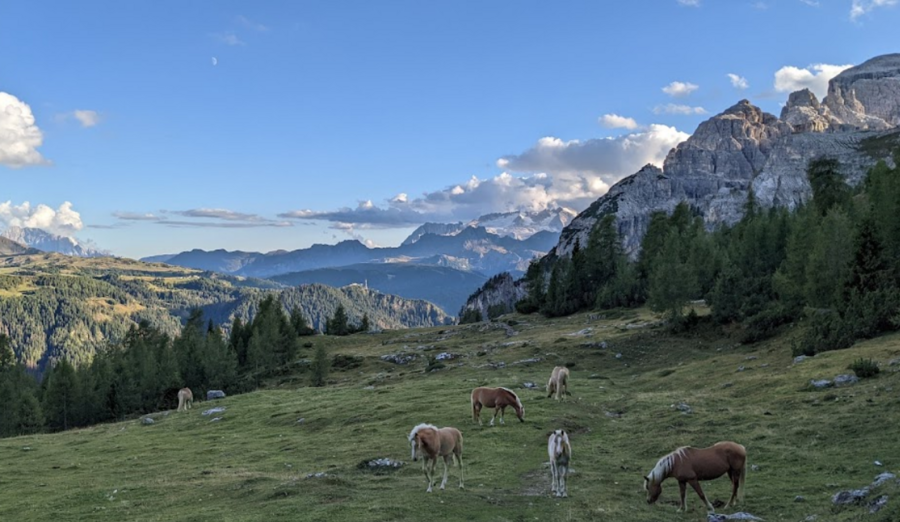 Vue depuis le Refuge Gardenacia