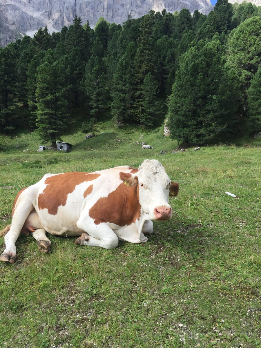 Passo Costalunga