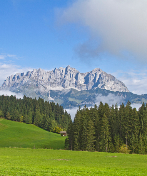 vue sur le Wilder Kaiser