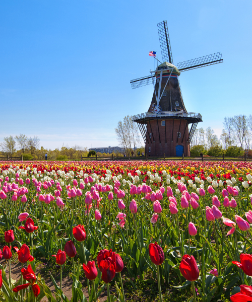 près de Den Helder