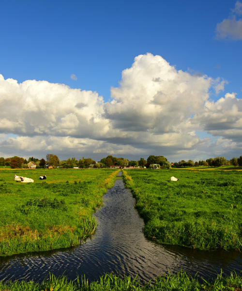 dans la région de Zeeland