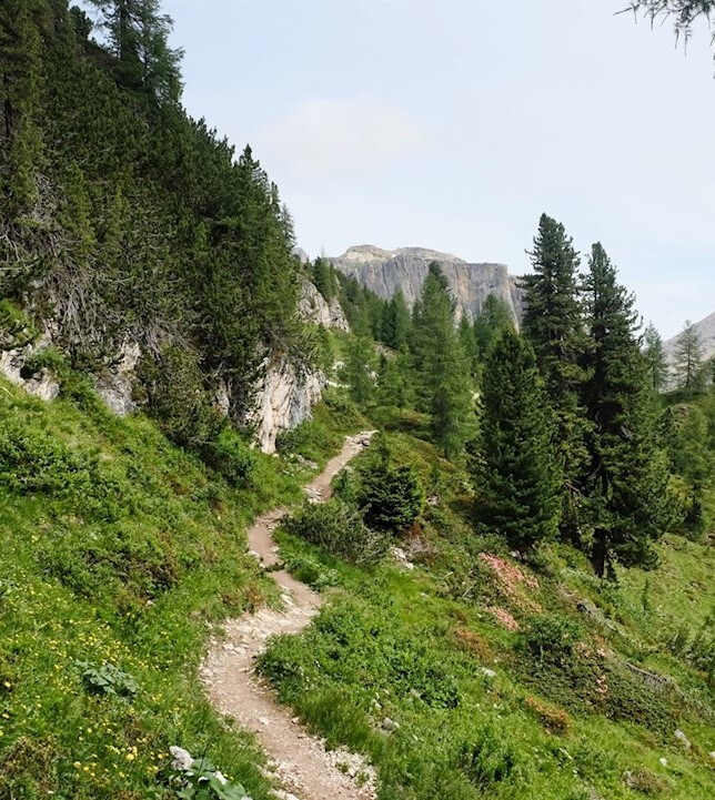 Sentier pour le Refuge Scoiattoli