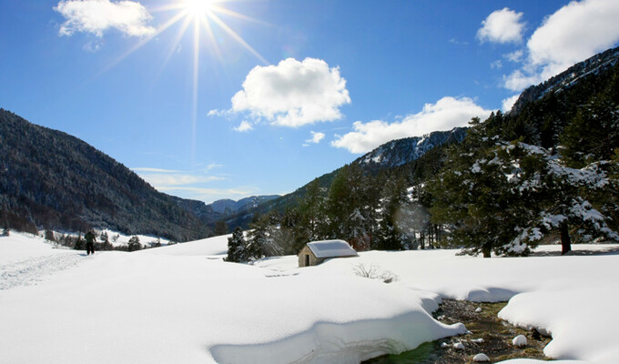 Raquettes dans le Vercors