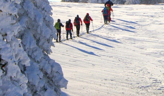 Séjour raquettes dans le Jura