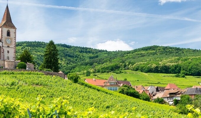 Trek en Alsace