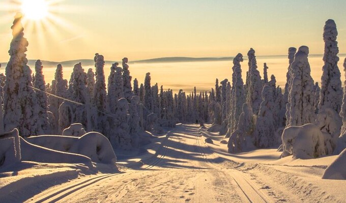 Voyage ski en Laponie