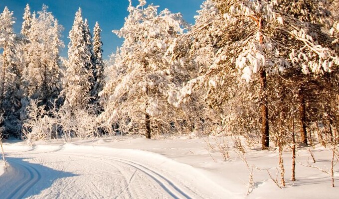 Ski de randonnée nordique en Scandinavie