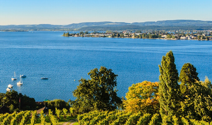 Le lac de Constance en hiver