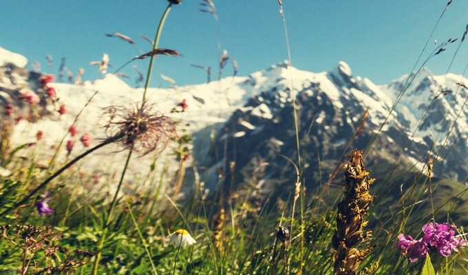 Trek en avril en France