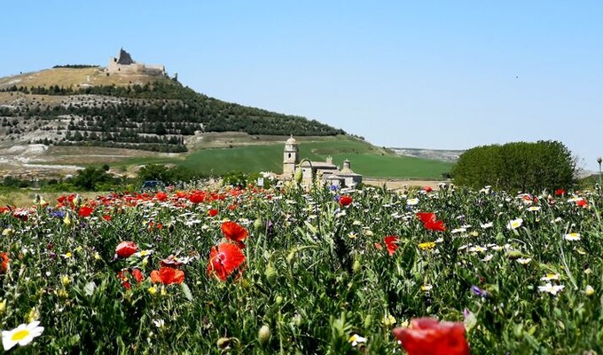 Castrojeriz, Espagne