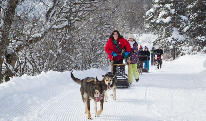 Chiens de traîneaux dans le massif du Vercors