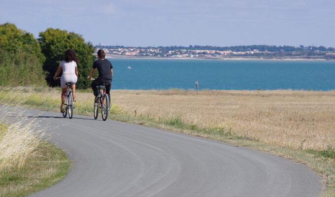 Cyclistes sur l'île de Ré