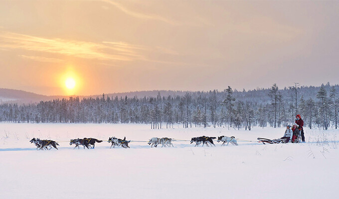 expedition chien traineau norvège 