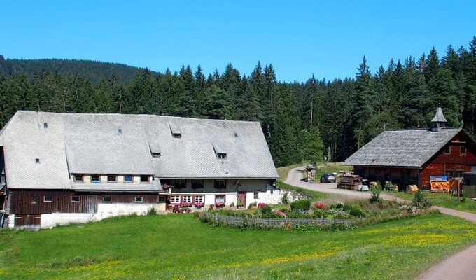 Randonnée en Forêt Noire