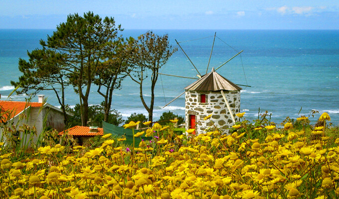 Fleurs et moulin au Portugal