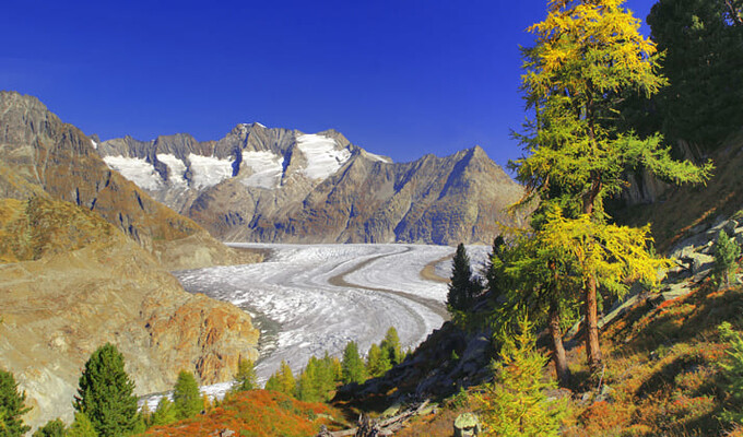 Randonnée sur le glacier d'Aletsch