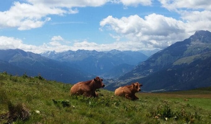 Grande Traversée des Alpes, trek de la vallée de Chamonix-Mont Blanc à la Haute Maurienne