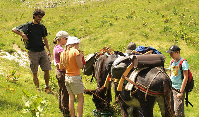 Trek en famille dans les Alpes