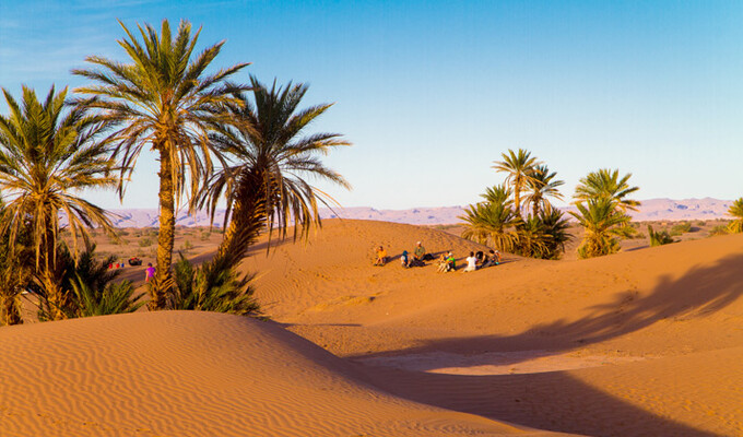 Palmiers dans le désert du Sud marocain