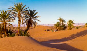 Dunes et Oasis du sud marocain