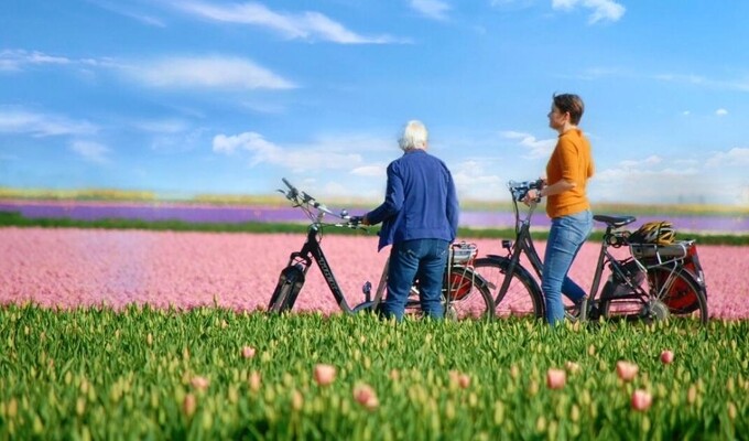 Traversée en vélo dans les champs de tulipes en Hollande, Pays-Bas