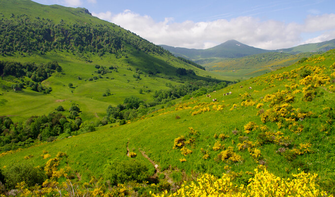 Paysage du Cantal