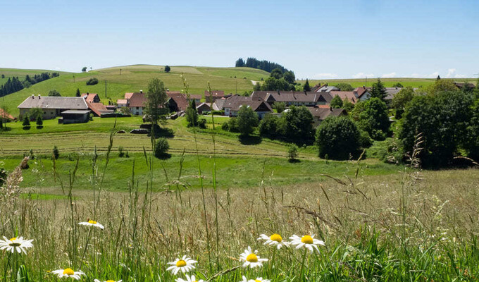 Paysage Forêt Noire