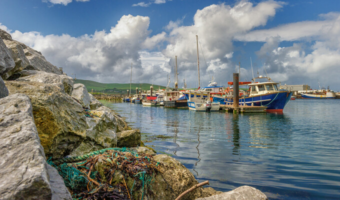 Port de Dingle