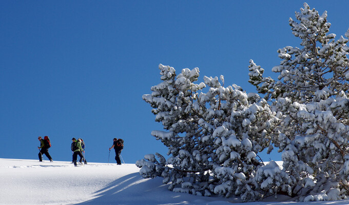 Séjour raquettes dans le Vercors