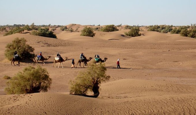 Randonnée à dos de chameau, au Maroc