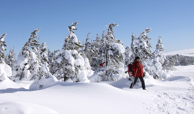 Randonnée en raquettes dans les Cévennes