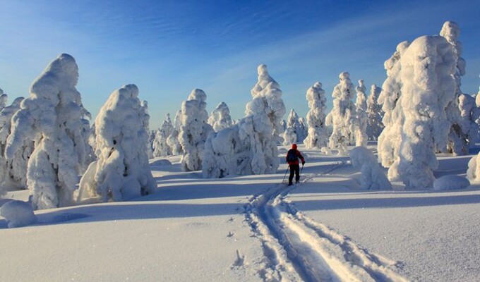 Randonnée à ski dans le parc de Pallas-Yllästunturi