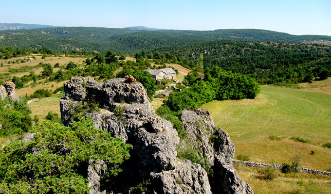 Raques Altès dans les Cévennes