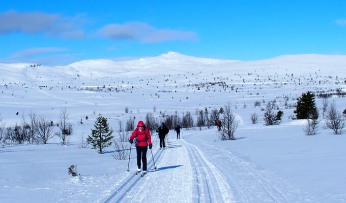 Ski de fond classique à Venabu