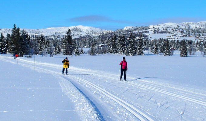 Ski de fond à Golsfjellet