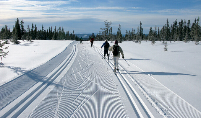 Ski de fond à Sjusjøen