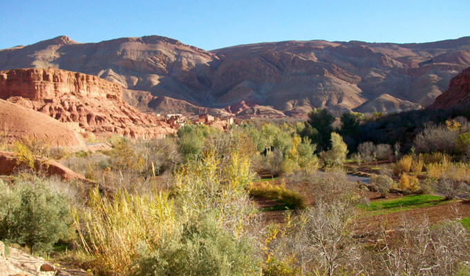 Vallée des roses au Maroc