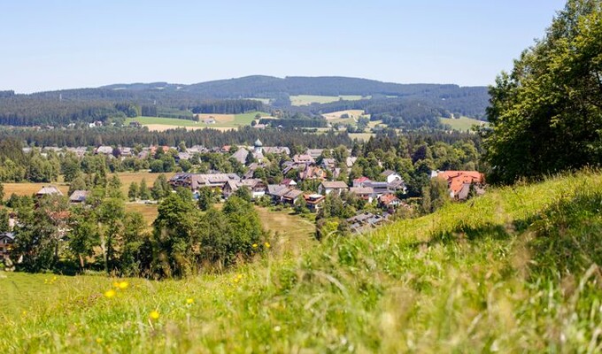 Le village d'Hinterzarten en Forêt-Noire