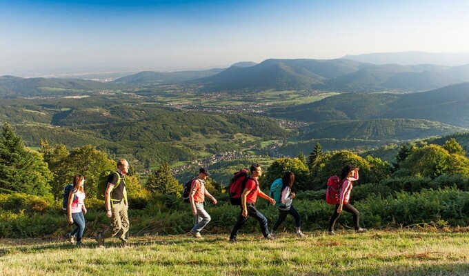 Randonnée en liberté dans les Vosges